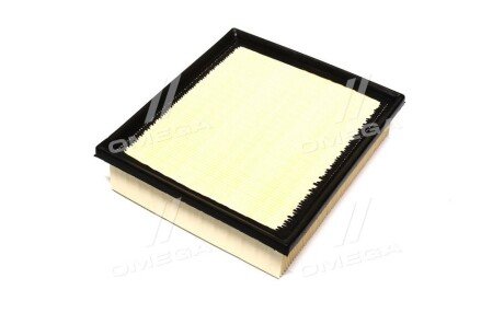 Фільтр повітряний ExtraClean Professional rider REC130018