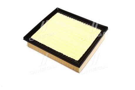 Фільтр повітряний ExtraClean Professional rider REC130018