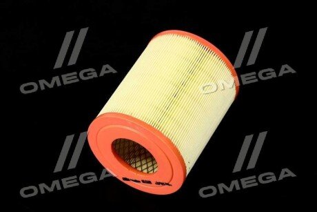 Фільтр повітряний ExtraClean Professional rider REC130021