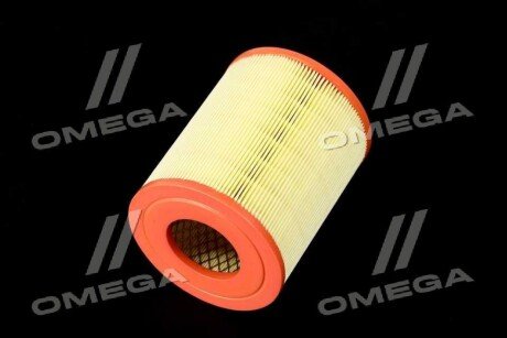 Фільтр повітряний ExtraClean Professional rider REC130021