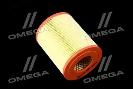 Фільтр повітряний ExtraClean Professional rider REC130021