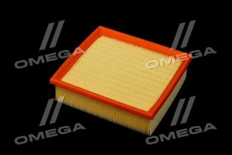 Фільтр повітряний ExtraClean Professional rider REC130030