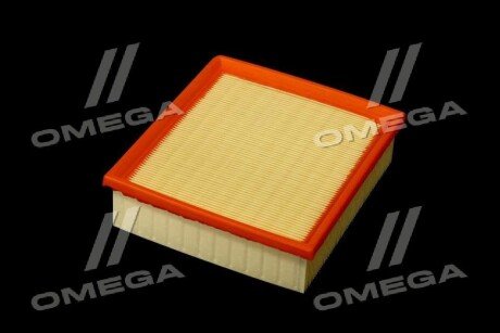 Фільтр повітряний ExtraClean Professional rider REC130030