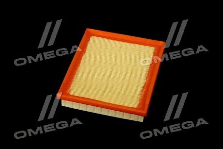 Фільтр повітряний ExtraClean Professional rider REC130097