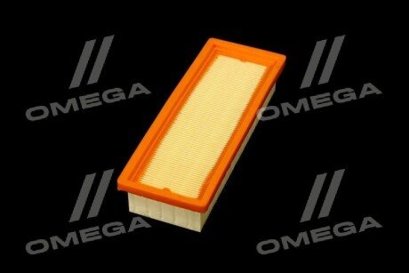 Фільтр повітряний ExtraClean Professional rider REC130183