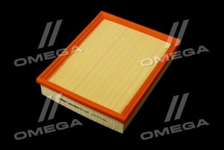 Фільтр повітряний ExtraClean Professional rider REC130206