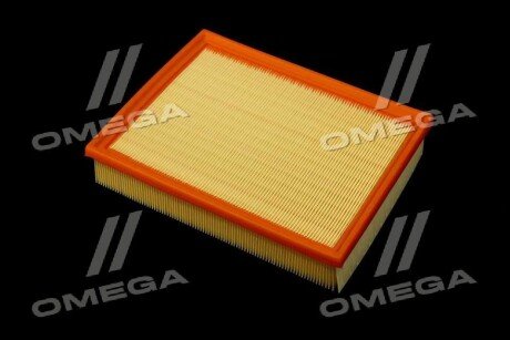 Фільтр повітряний ExtraClean Professional rider REC130206