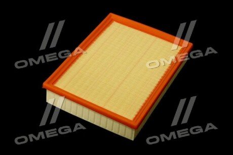 Фільтр повітряний ExtraClean Professional rider REC130206