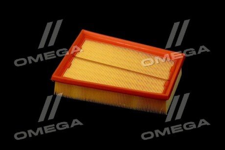 Фільтр повітряний ExtraClean Professional rider REC130228