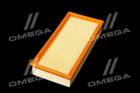 Фільтр повітряний ExtraClean Professional rider REC130229