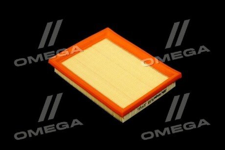 Фільтр повітряний ExtraClean Professional rider REC130234