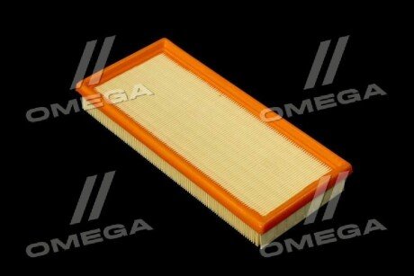 Фільтр повітряний ExtraClean Professional rider REC130235