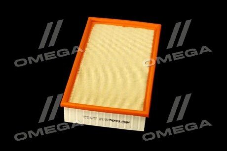 Фільтр повітряний ExtraClean Professional rider REC130236