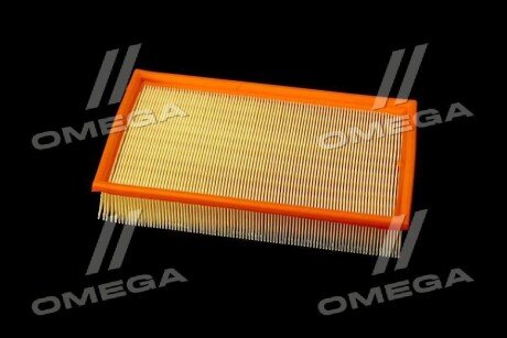 Фільтр повітряний ExtraClean Professional rider REC130236