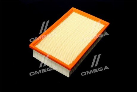 Фільтр повітряний ExtraClean Professional rider REC130242