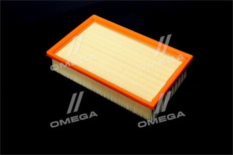 Фільтр повітряний ExtraClean Professional rider REC130242