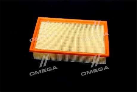 Фільтр повітряний ExtraClean Professional rider REC130242