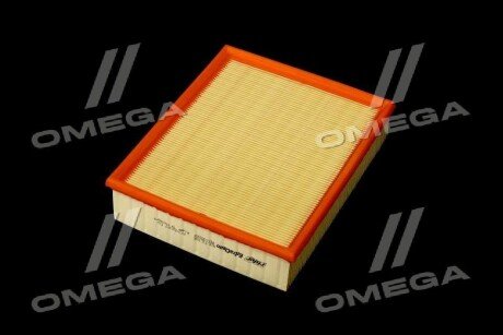 Фільтр повітряний ExtraClean Professional rider REC130249