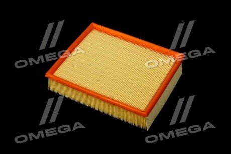 Фільтр повітряний ExtraClean Professional rider REC130249