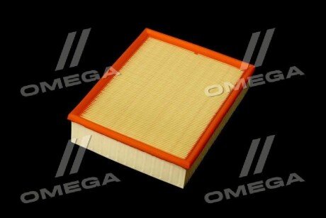 Фільтр повітряний ExtraClean Professional rider REC130249