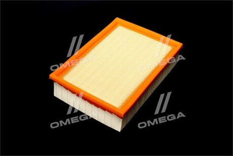 Фільтр повітряний ExtraClean Professional rider REC130253