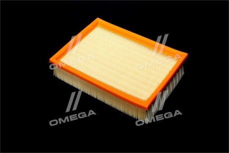 Фільтр повітряний ExtraClean Professional rider REC130253