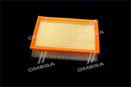 Фільтр повітряний ExtraClean Professional rider REC130253