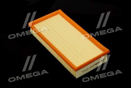 Фільтр повітряний ExtraClean Professional rider REC130260