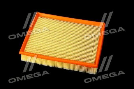 Фільтр повітряний ExtraClean Professional rider REC130301