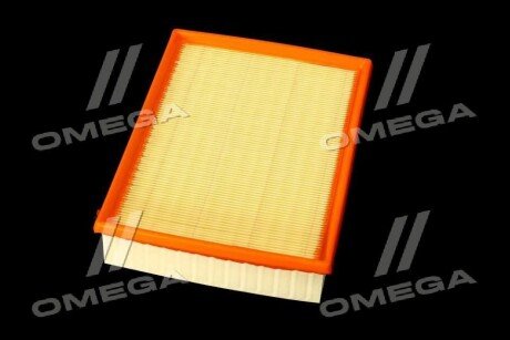 Фільтр повітряний ExtraClean Professional rider REC130301