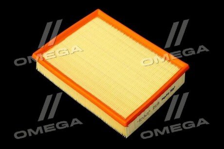 Фільтр повітряний ExtraClean Professional rider REC130301