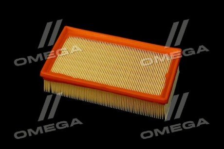 Фільтр повітряний ExtraClean Professional rider REC130310