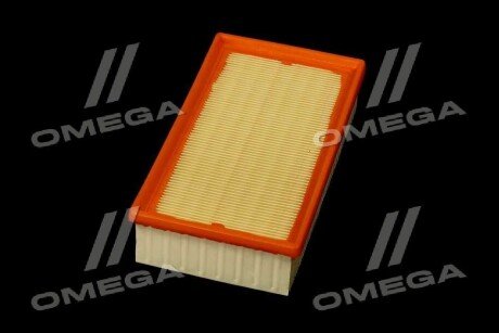 Фільтр повітряний ExtraClean Professional rider REC130310