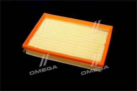 Фільтр повітряний ExtraClean Professional rider REC130326