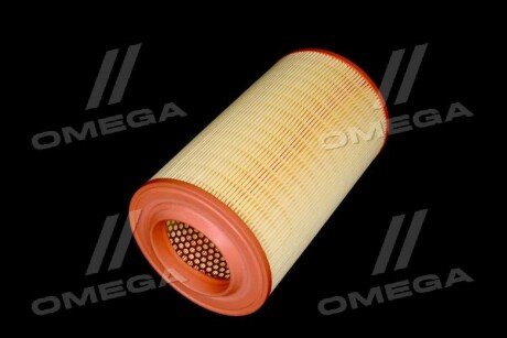 Фільтр повітряний ExtraClean Professional rider REC200435