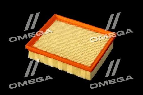 Фільтр повітряний ExtraClean RENAULT rider REC130092