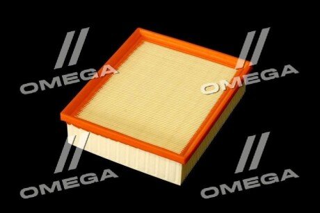 Фільтр повітряний ExtraClean RENAULT rider REC130092