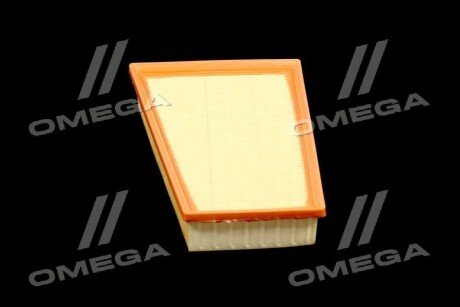 Фільтр повітряний ExtraClean RENAULT rider REC130220