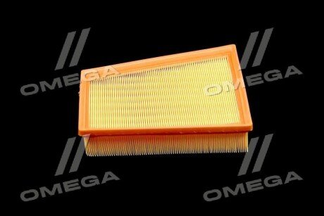 Фільтр повітряний ExtraClean RENAULT rider REC130220