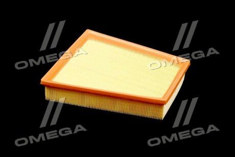 Фільтр повітряний ExtraClean RENAULT rider REC130220