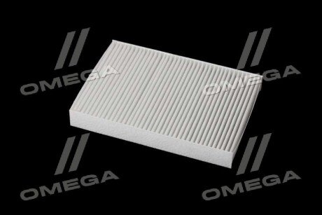 Фільтр салону ExtraClean DACIA rider REC610273