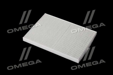 Фільтр салону ExtraClean RENAULT rider REC610058