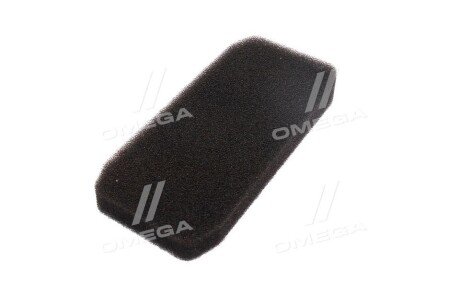 Фільтр салону PREMIUM DAF TRUCKS LF45, LF55 rider RD257L