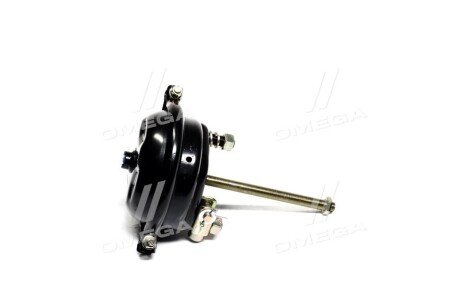 Камера Торм. PREMIUM Тип 24 DAF, RVI, VOLVO rider RD311216PR на Ауди А4 б5