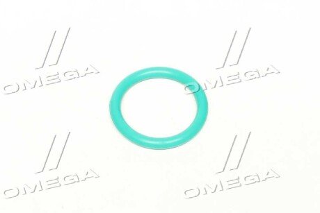 Кольцо уплотнительное форсунки MB,DAF 85CF,DAF 95XF 20,9х26,9х3 FKM Фторкаучук (зелёный) rider RD2430210081