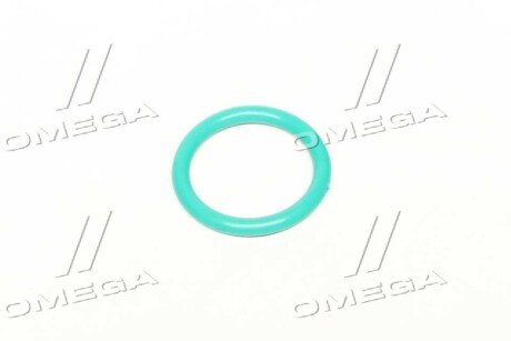 Кольцо уплотнительное форсунки MB,DAF 85CF,DAF 95XF 20,9х26,9х3 FKM Фторкаучук (зелёный) rider RD2430210081