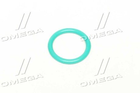 Кольцо уплотнительное форсунки MB,DAF 85CF,DAF 95XF 20,9х26,9х3 FKM Фторкаучук (зелёный) rider RD2430210081