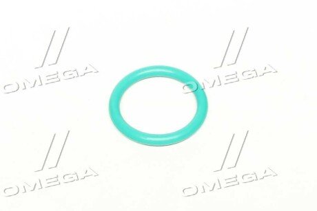 Кольцо уплотнительное форсунки MB,DAF 85CF,DAF 95XF 20,9х26,9х3 FKM Фторкаучук (зелёный) rider RD2430210081