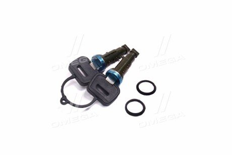 Личинка замка двери с 2 ключами DAF XF95-105XF rider RD9102495