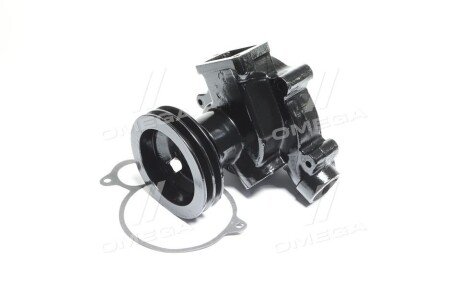 Насос водяний КАМАЗ rider 7401307010